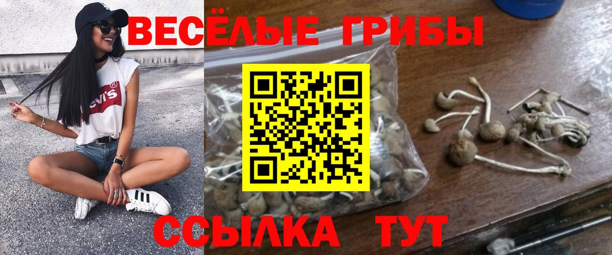 Галлюциногенные грибы прущие грибы Когалым