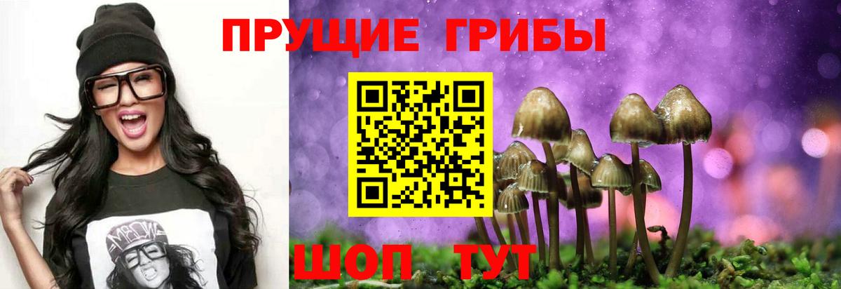 Когалым  Галлюциногенные грибы Magic Shrooms  Галлюциногенные грибы GOLDEN TEACHER  Вход с VPN 